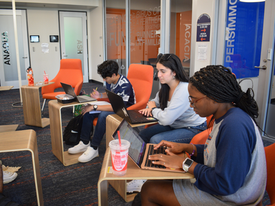 Students in a Study Room